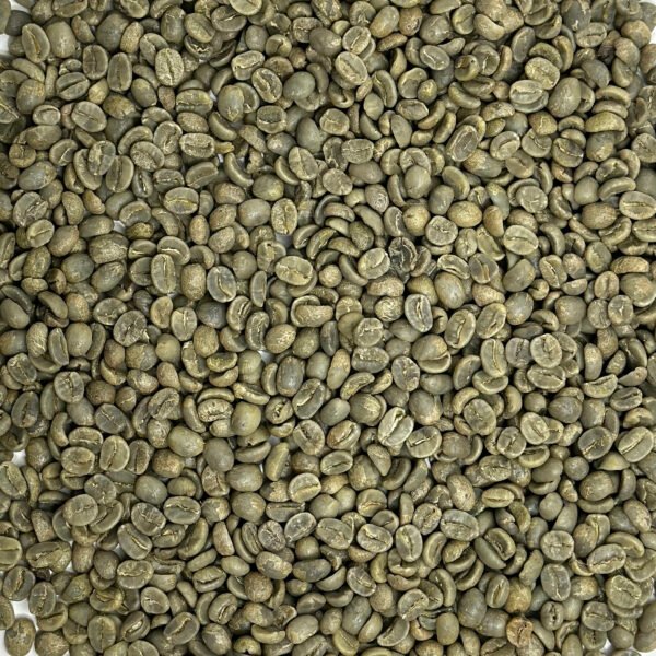 Panama: Finca La Santa SHB EP, Boquete