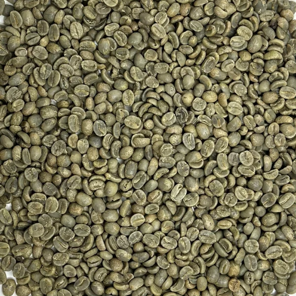 Panama: Finca La Santa SHB EP, Boquete - Image 2