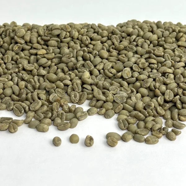 Ethiopia: Gedeb Worka Sakaro G1, Yirgacheffe - Image 4