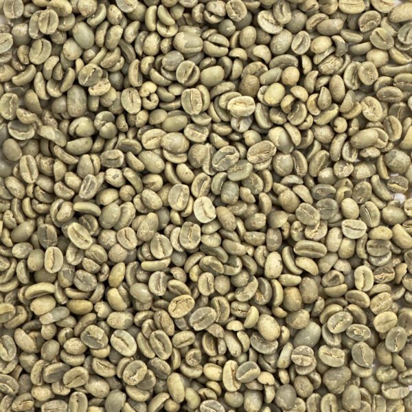 Ethiopia: Gedeb Worka Sakaro G1, Yirgacheffe