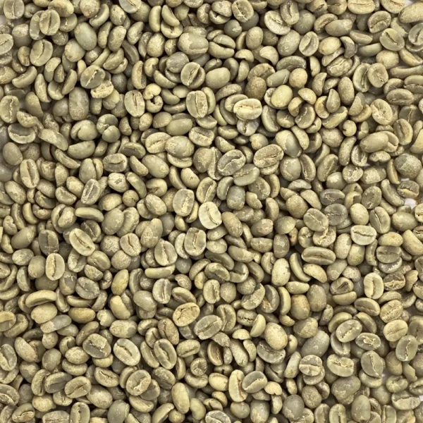 Ethiopia: Gedeb Worka Sakaro G1, Yirgacheffe - Image 2