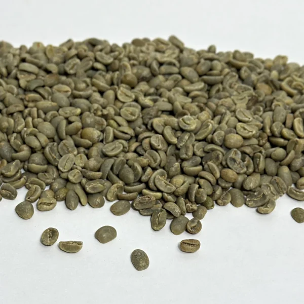 Dominican Republic: Organic Ramirez Washed, Jarabacoa - Image 3