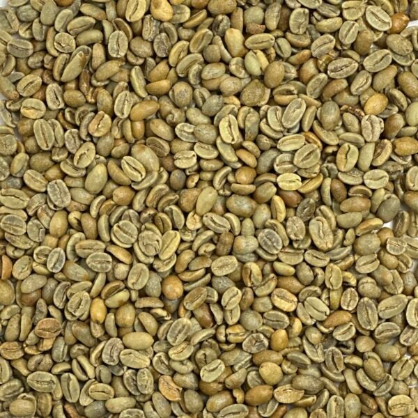 Dominican Republic: Ramirez Natural, Jarabacoa