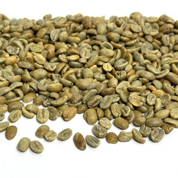 Dominican Republic: Ramirez Natural, Jarabacoa - Image 3