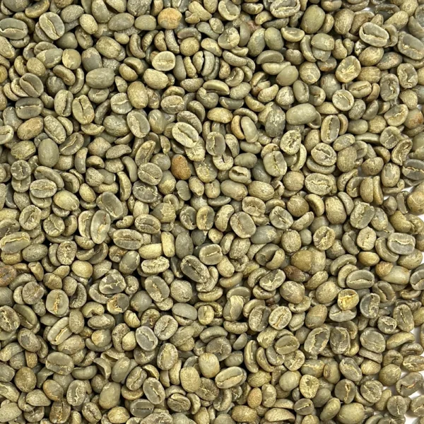 Guatemala: Organic Asdecafe SHB, Huehuetenango - Image 2