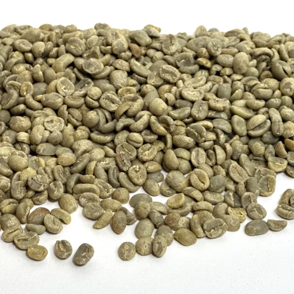 Guatemala: Organic Asdecafe SHB, Huehuetenango - Image 3