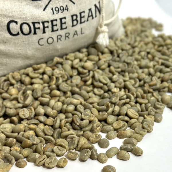 Guatemala: Organic Asdecafe SHB, Huehuetenango - Image 4