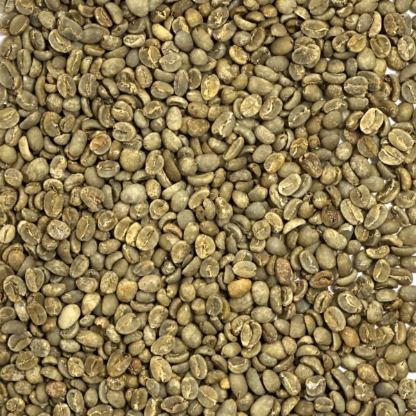 Java: Organic Taman Dadar, Kayumas