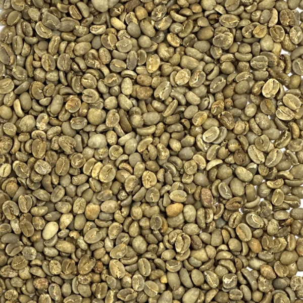 Java: Organic Taman Dadar, Kayumas - Image 2