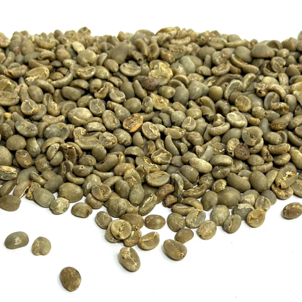 Java: Organic Taman Dadar, Kayumas - Image 3