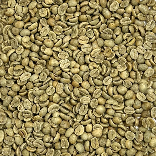 Colombia: Reserva Del Patron, Narino - Image 3