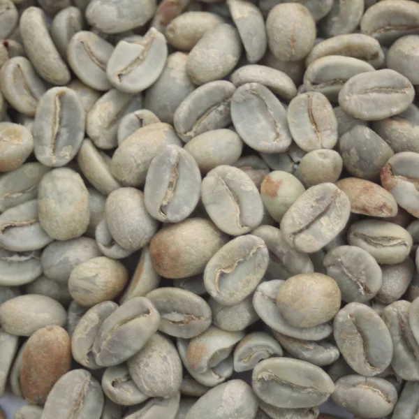 Mexico: Organic Cepco Oaxaca, Oaxaca - Image 2