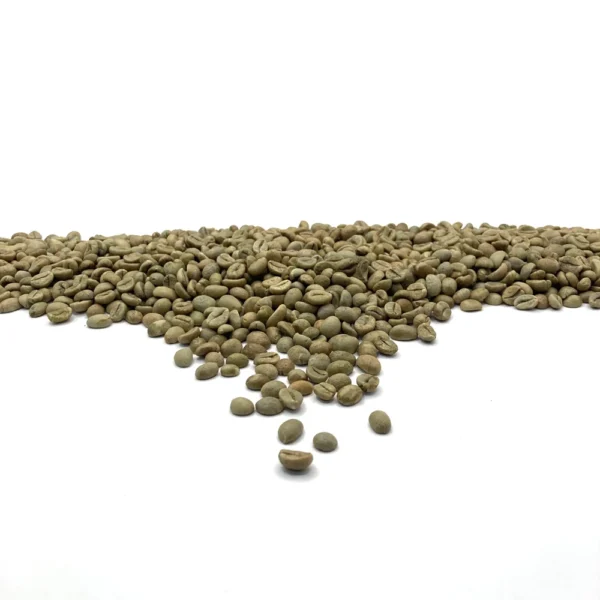 Uganda: Kaweri Robusta, Mubende - Image 4