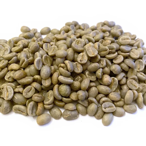 Seasoning Beans - Image 2
