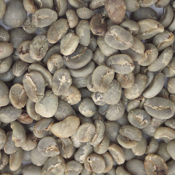Sumatra: Organic Mandheling, Aceh