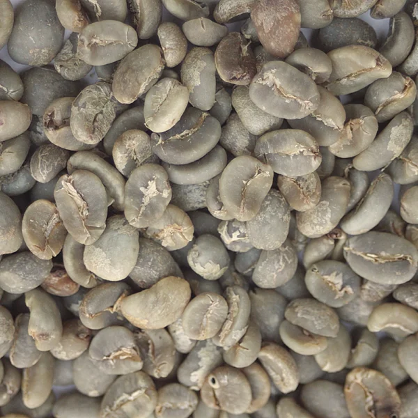 Sumatra: Organic Mandheling, Aceh - Image 2