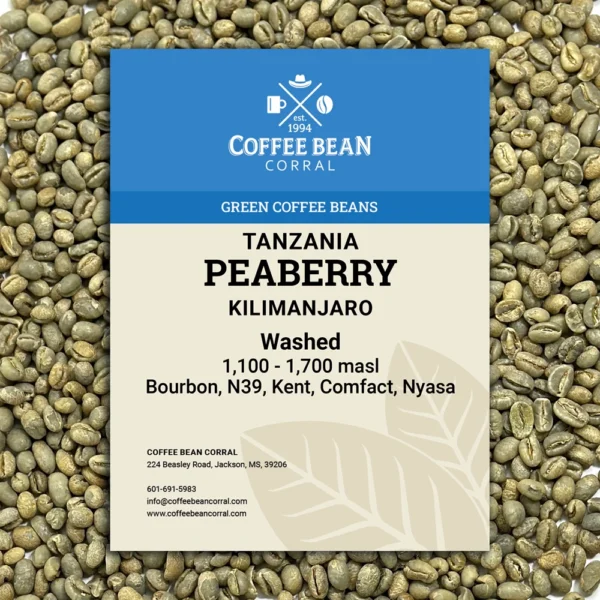 Tanzania: Peaberry, Kilimanjaro - Image 6